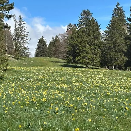 Lakeside In Hallschlag, Cleaning Included Tatil Evi